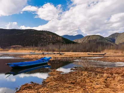 빅윈스 카지노 모바일 앱